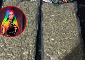 Policía detiene a la artista urbana “Masha” y a un hombre con presunta marihuana en Villa Francisca