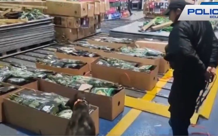 Decomisan en Ecuador 38.000 gramos de cocaína ocultos en carga que iba a Inglaterra