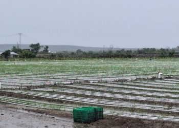 Agricultura informa de daños y comunidades incomunicadas a causa de la tormenta Melissa