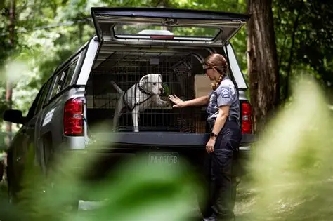 Niño muere atacado por rottweilers mientras su niñera dormía