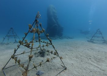 Atabey se reafirma como un proyecto ambiental con impacto sostenible en Sosúa