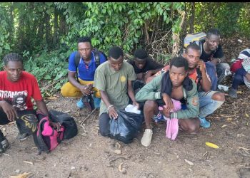Ejército detiene a ocho nacionales haitianos que se escondían en un platanal en Valverde