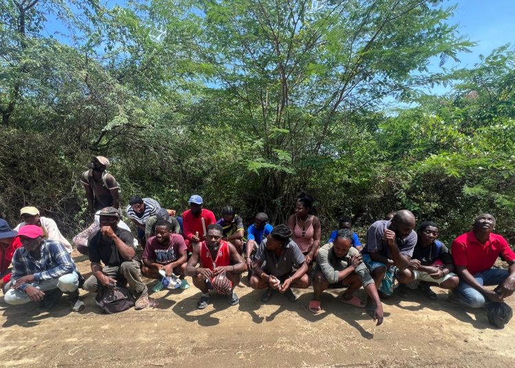 Ejército detecta con drones grupo de 22 extranjeros indocumentados que se ocultaban en bosques de Palo Verde, Montecristi