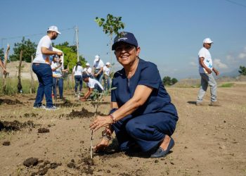 Voluntariado Banreservas siembra 1,500 caobas criollas en Navarrete durante el Mes de la Reforestación