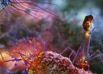 Captan las primeras imágenes de un antibiótico aniquilando bacterias en tiempo real