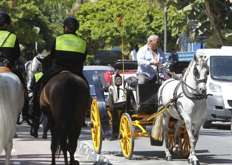 La ciudad española de Málaga elimina los paseos turísticos en coche de caballos