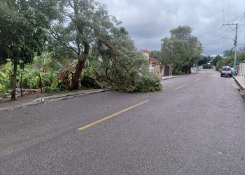 Fuerte tornado y lluvias provocan daños en comunidad de Barranca, La Vega