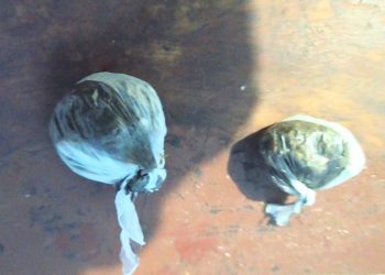 Policía apresa hombre en posesión de sustancias narcóticas en Cabral, Barahona