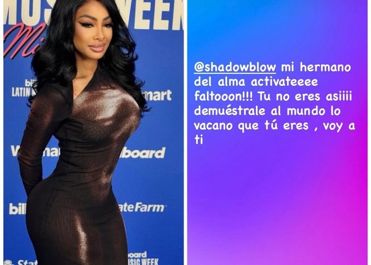 Yailin «La Más Viral» muestra su apoyo a Shadow Blow en redes sociales: “Voy a ti”