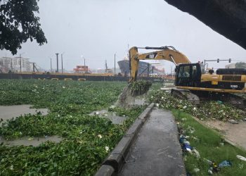 MOPC anunció cierre temporal del Puente Flotante por acumulación de lilas en el río Ozama