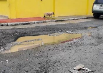 Tras inundaciones por Melissa, Los Frailes respira: el agua empieza a bajar