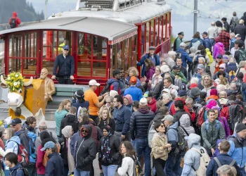 Berlín insta a Pekín y Moscú a aprobar resolución para el desarme de Hamás