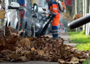 Hallan cuerpos de tres posibles víctimas del conflicto colombiano en obra de una carretera