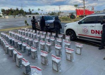 Incautan 643 paquetes de cocaína en un amplio operativo en el país