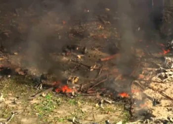 No hay supervivientes tras la explosión en una fábrica de bombas en Tennessee