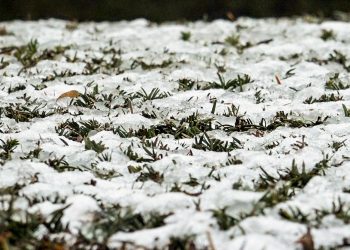 Media Europa está en alerta por frío polar y una fina capa de nieve cubre Bruselas