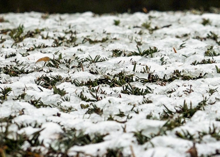 Media Europa está en alerta por frío polar y una fina capa de nieve cubre Bruselas