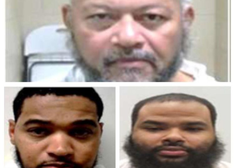 Tres dominicanos figuran entre inmigrantes arrestados por el ICE por delitos graves en EEUU