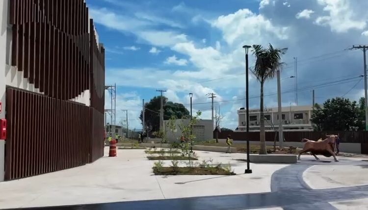 Ministro David Collado supervisa avance en Plaza de Toros de El Seibo