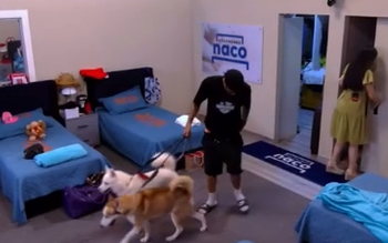 ¡El perrito de Capitán Alo hizo de las suyas en LCDA y dejó un regalito en la cama de La Perversa!