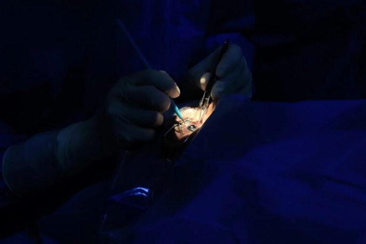 Prueban en dos personas ciegas un sistema de visión artificial que dialoga con el cerebro