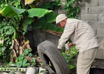 Panamá acumula 23 muertes por dengue y 13.844 casos de la enfermedad en 2025