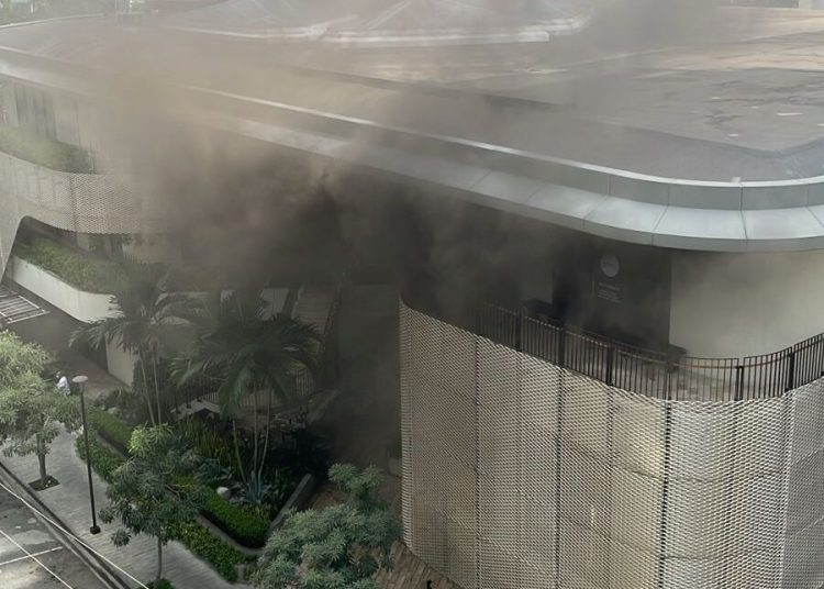 Incendio afecta la plaza Paseo del Prado en Naco; autoridades investigan causas