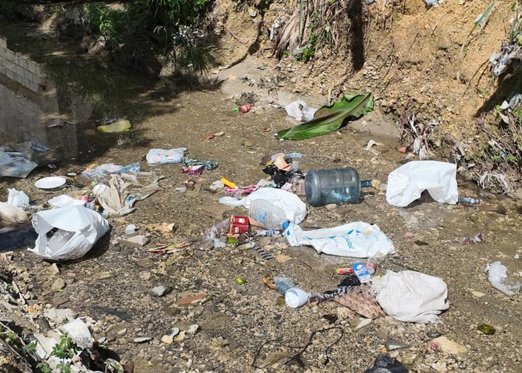 Residentes de El Manguito claman por intervención urgente de la cañada