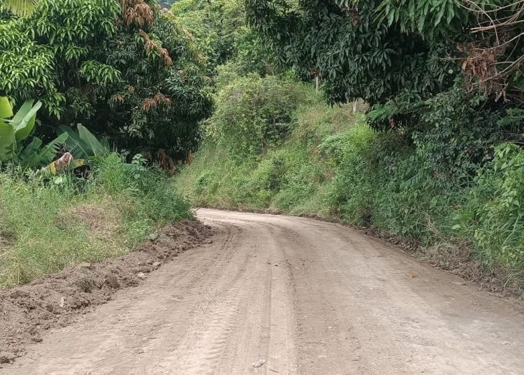MOPC habilita caminos interparcelarios en zonas agrícolas de Peralta