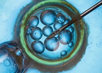 Desaparecen cientos de embriones tras el cierre de una clínica de fertilidad en Bosnia