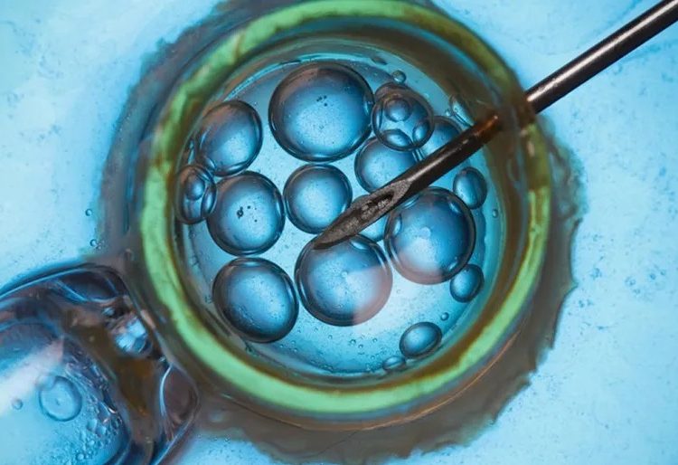 Desaparecen cientos de embriones tras el cierre de una clínica de fertilidad en Bosnia