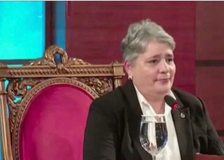 Arelis Ricourt defiende ante el CNM una Suprema más moderna, eficiente y sin papel