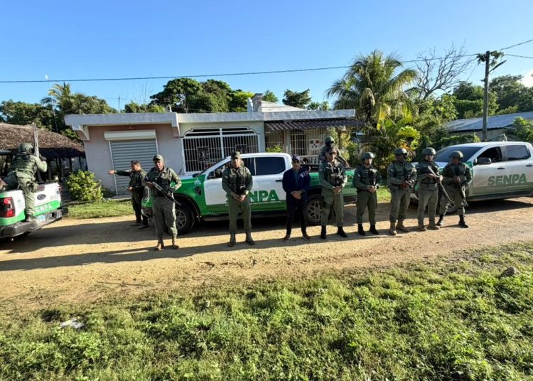 Senpa, Medio Ambiente, Ejército y Migración refuerzan lucha contra ilícitos ambientales y asentamientos ilegales