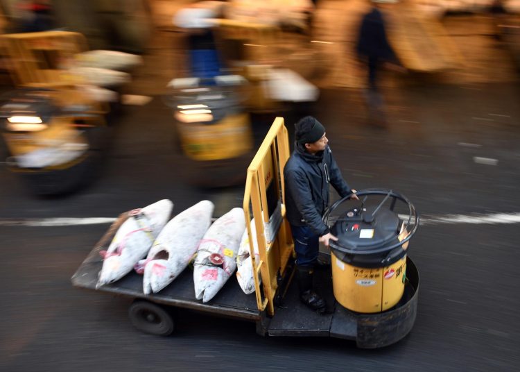China presiona a Japón con el marisco en medio del pulso diplomático por Taiwán