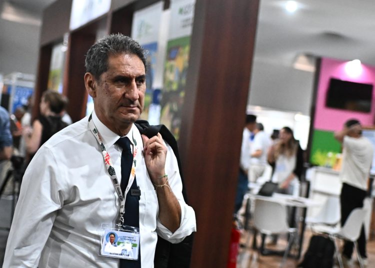 Irena: Suramérica puede atraer más inversión en renovables con reformas e interconexión