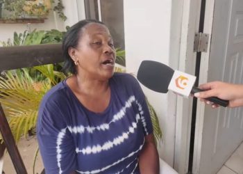 ”Mi hermana luchó tanto para sacarlo y mira como le pagó”, dice familiar de mujer asesinada junto a su hijo en Villa Mella