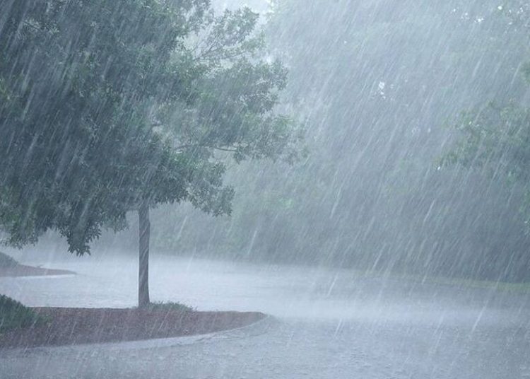 Prevén aguaceros dispersos para la tarde de este sábado