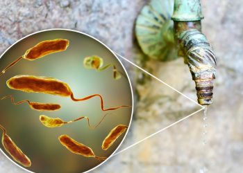 Salud Pública reporta tres casos sospechosos de cólera y mantiene activo plan de contingencia