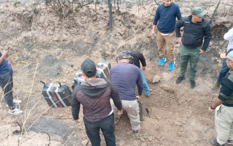 Detienen a cuatro personas tras caída de avioneta con 364 kilos de cocaína en Salta, Argentina