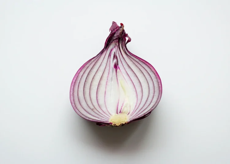 ¿Puede una cebolla luchar contra el cáncer? Sí, siempre que tengas la microbiota correcta