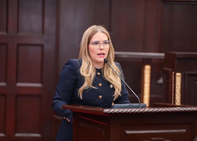 Diputada Barceló respalda postura sobre cesantía, pero seguirá apoyando a microempresas