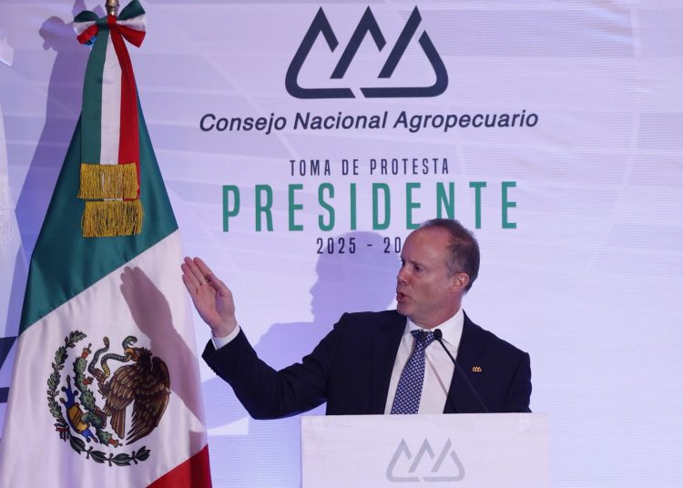 Agroindustriales alertan que 20 % del campo dejó de sembrarse por inseguridad y migración