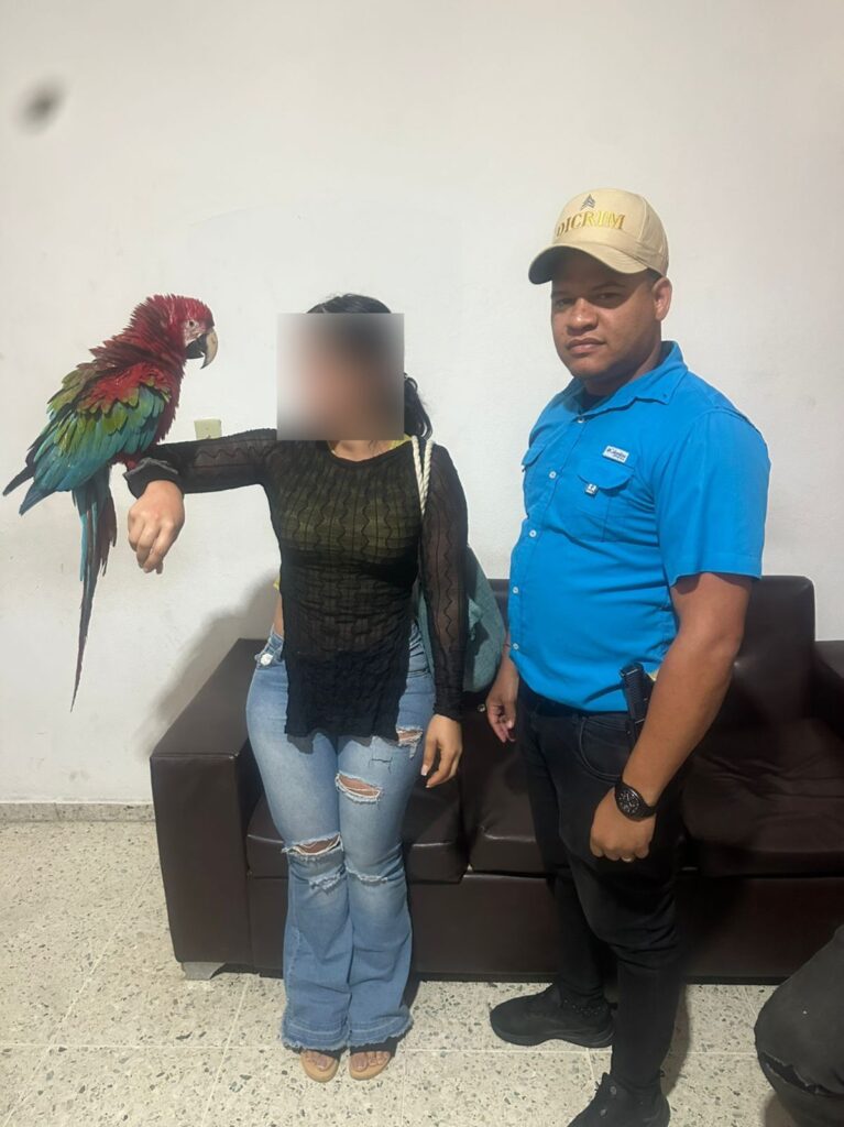 Apresan en flagrante delito a dos hombres que comercializaban ave exótica con denuncia de robo - Noticias de hoy en República Dominicana | De Último Minuto