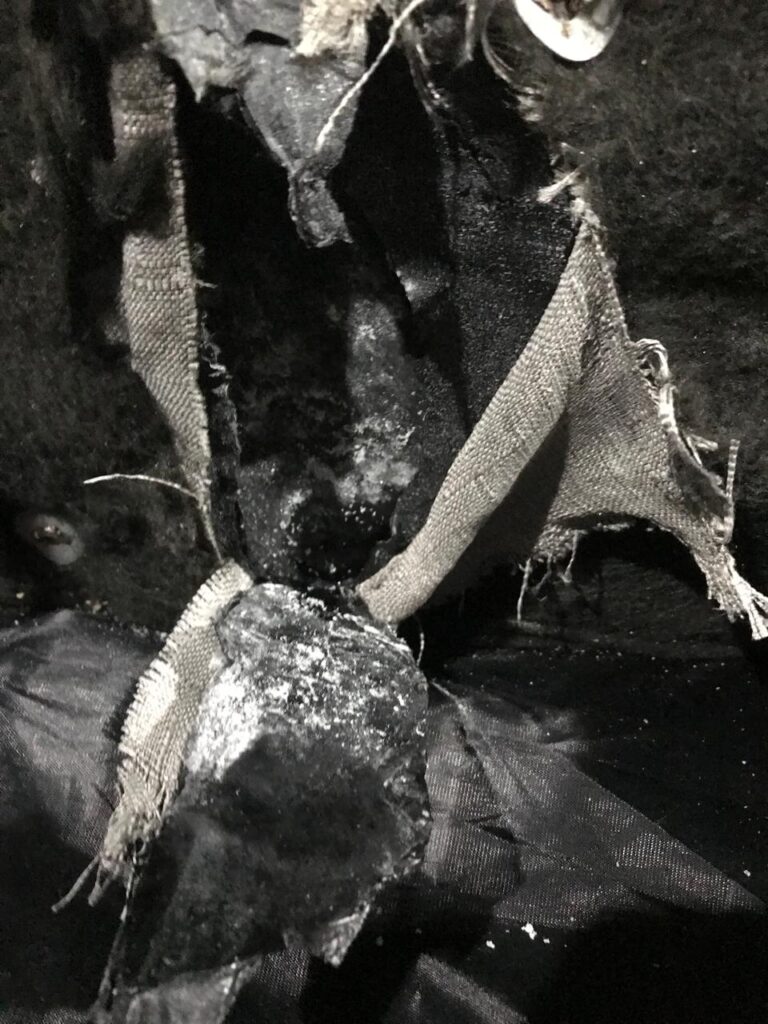 Arrestan en el AILA a mujer con doble nacionalidad que intentaba salir del país con cocaína en maletas - Noticias de hoy en República Dominicana | De Último Minuto