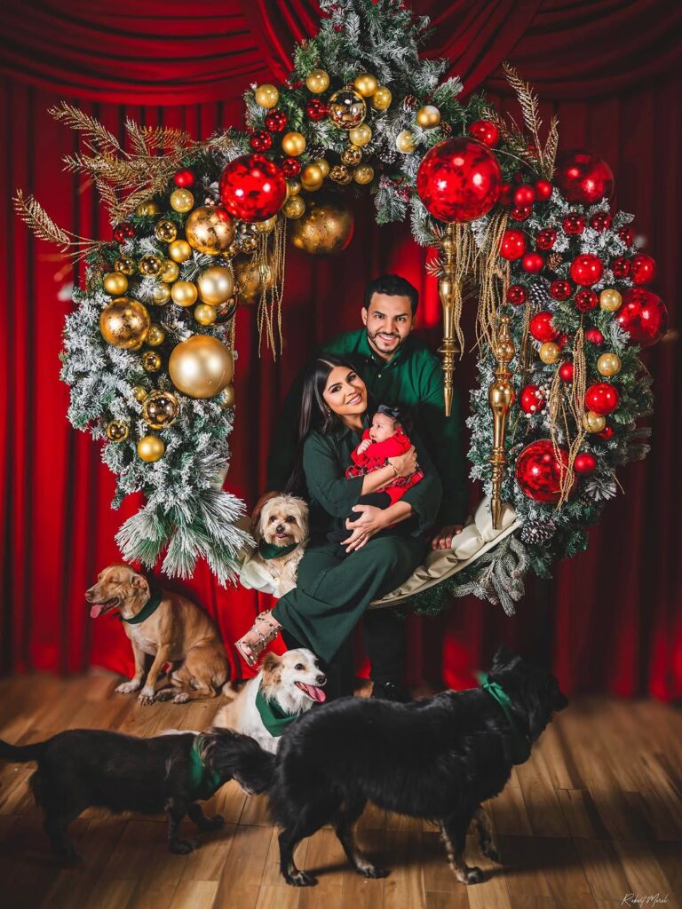 ¡Alerta ternura! Mascotas se adueñaron de postales navideñas - Noticias de hoy en República Dominicana | De Último Minuto