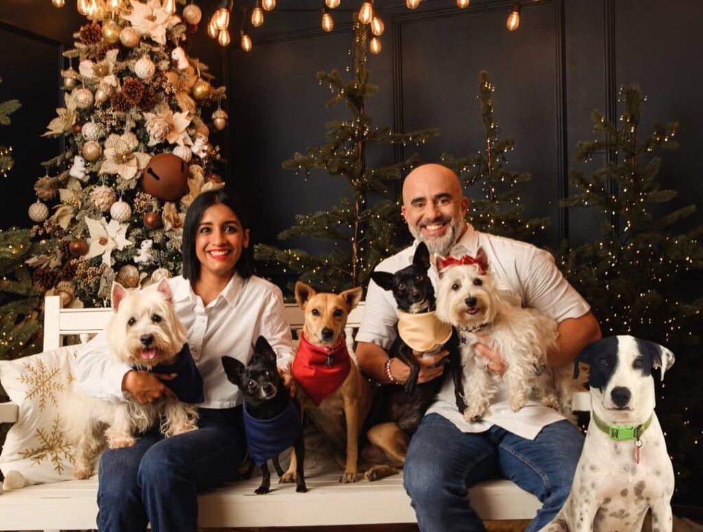 ¡Alerta ternura! Mascotas se adueñaron de postales navideñas - Noticias de hoy en República Dominicana | De Último Minuto