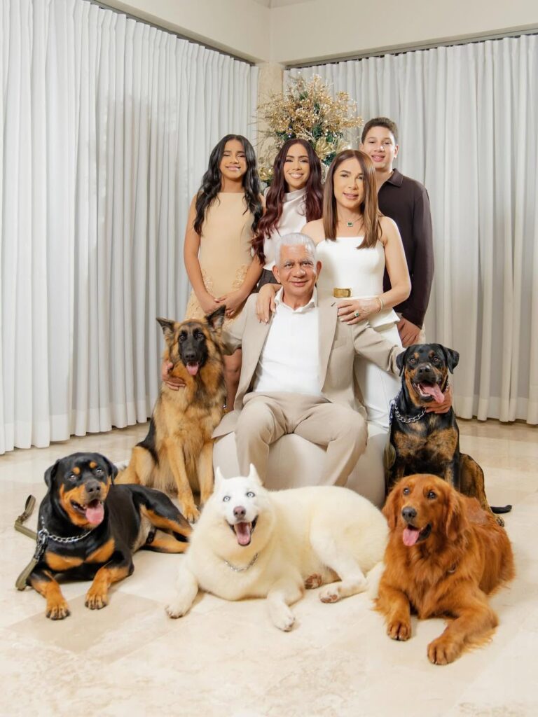 ¡Alerta ternura! Mascotas se adueñaron de postales navideñas - Noticias de hoy en República Dominicana | De Último Minuto