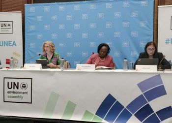 ONU: Invertir en medioambiente puede aumentar el PIB mundial y evitar millones de muertes