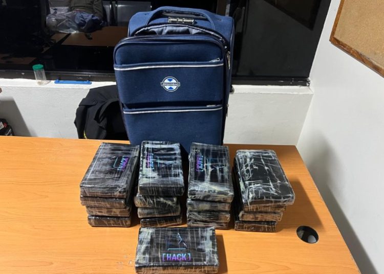 DNCD atrapa alemán con maleta llena de paquetes presumiblemente cocaína