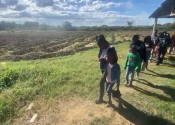 Ejército detiene a 21 nacionales haitianos indocumentados durante operativo en Mao